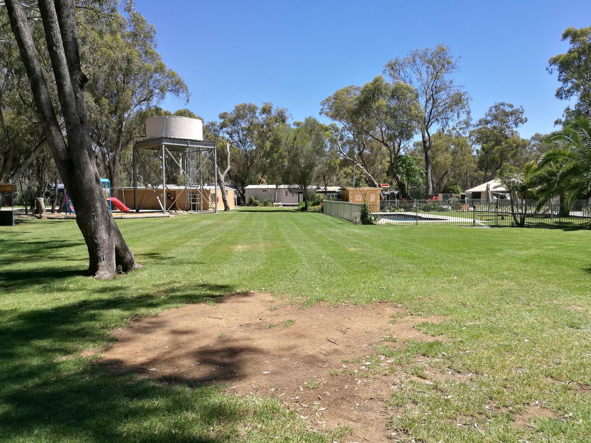 Spacious grassed powered site shaded by gum trees at Torrumbarry Weir Holiday Park, Patho VIC, with pool and playground nearby